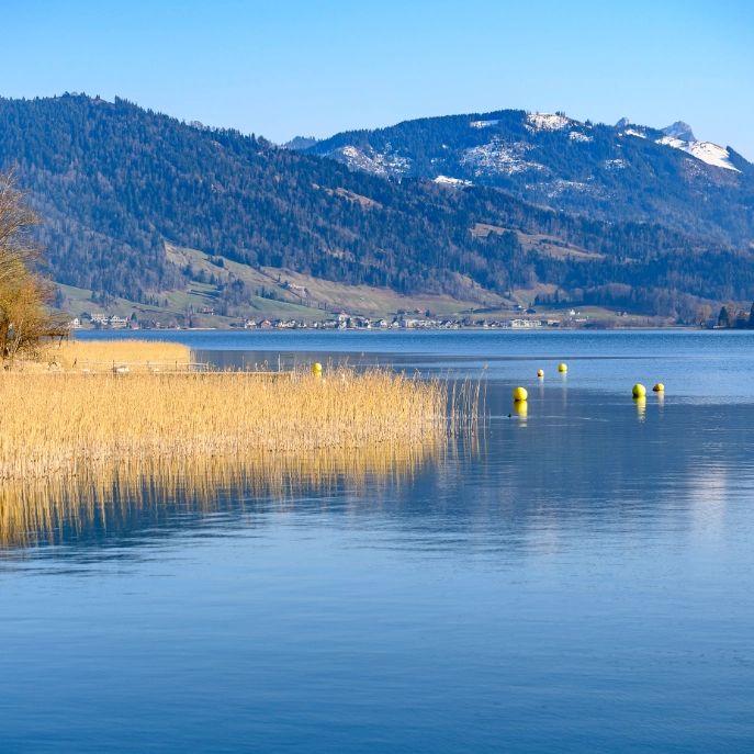 Ägerisee mit Sprungturm in der Badi Unterägeri