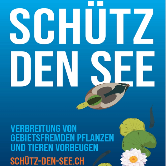 Schütz den See