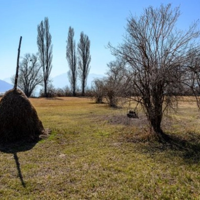 Landwirtschaftliches Grundstück