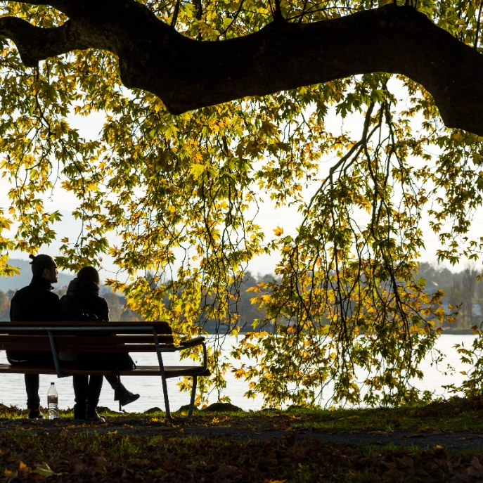 Verliebtes Paar in Zug