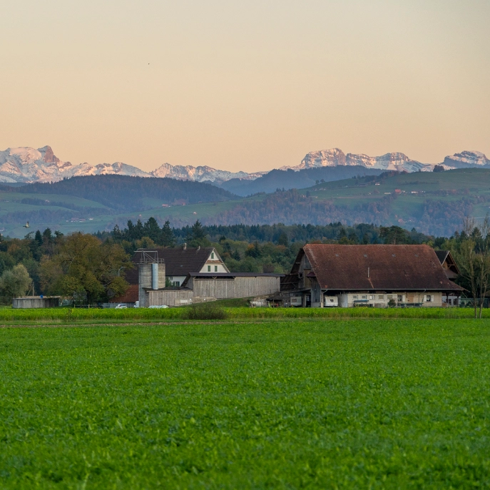 Stallgebaeude