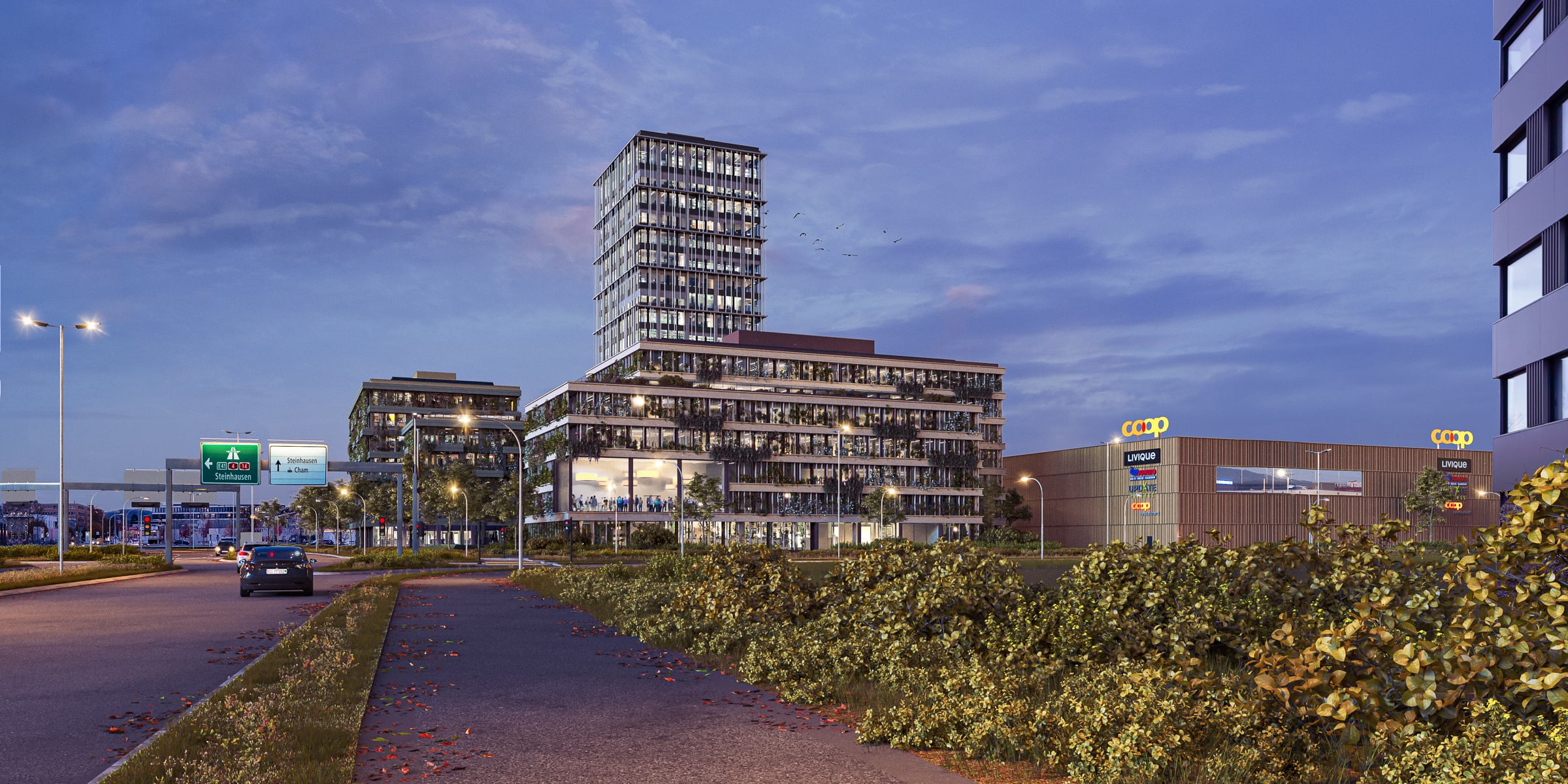 Hinterberg Süd (Cham, Städtlerallmend)