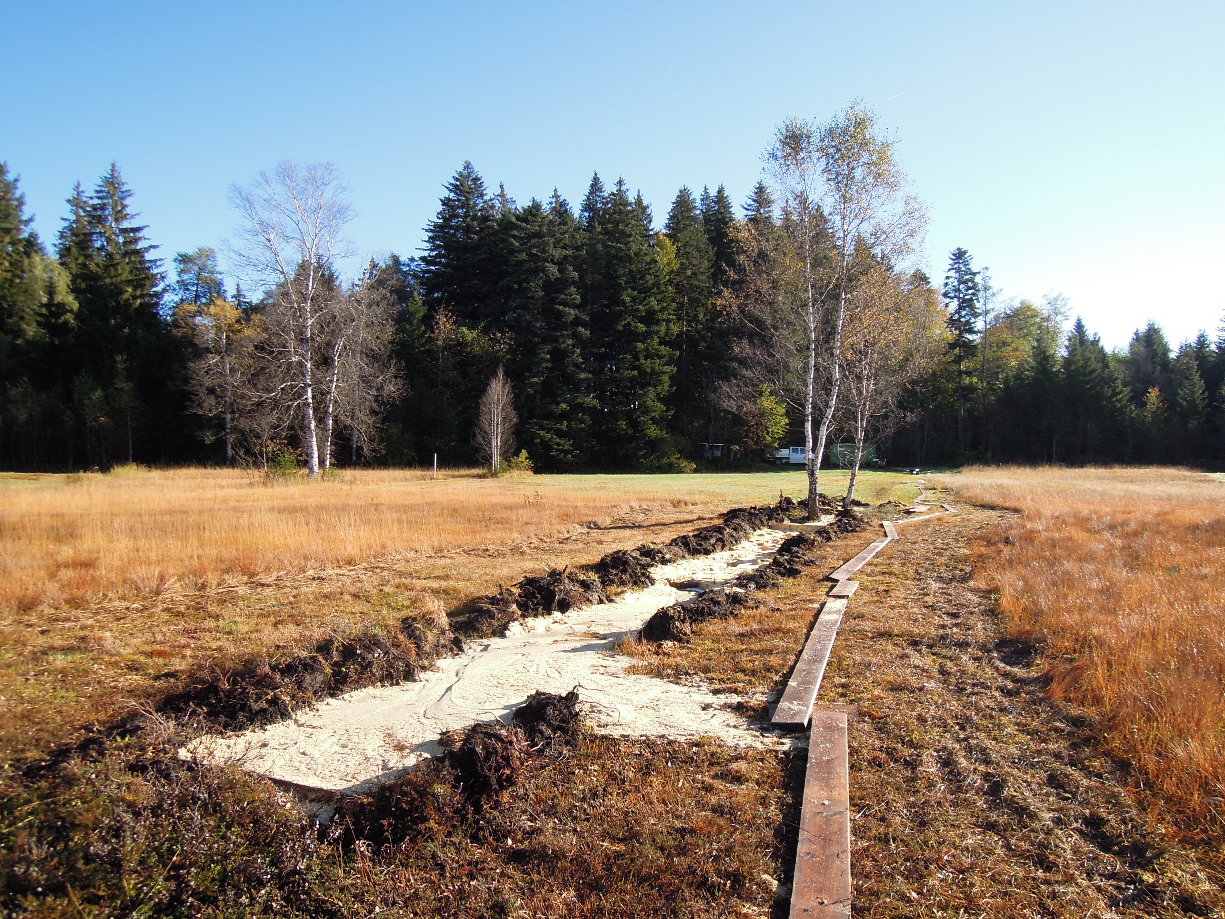 Moorregeneration nach Zuger Methode im Eigenried