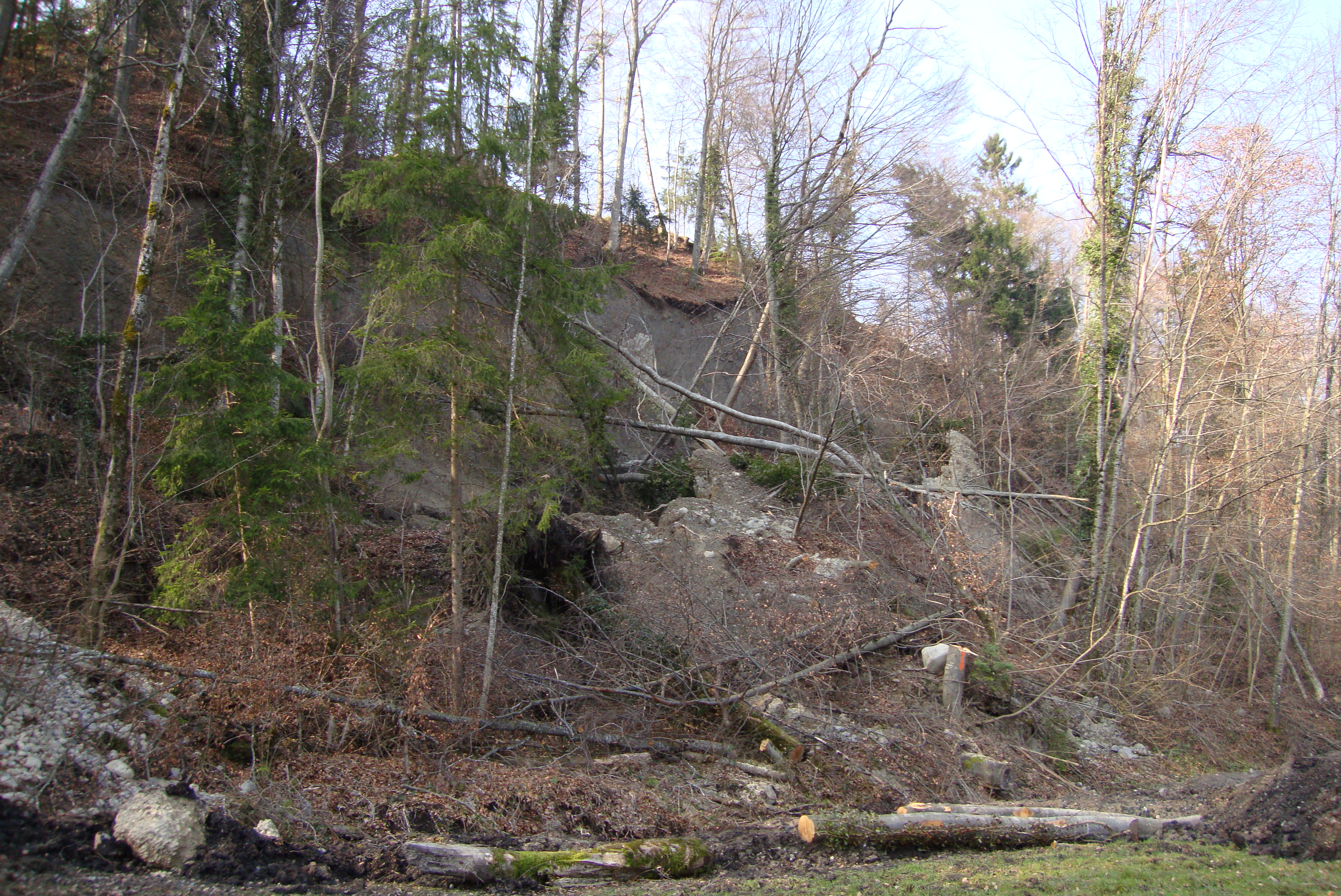 Grossrutschung in der Herrenmatt zwischen den Wiesen, rund 2 Monate nach Beginn der Rutschbewegung, 7. März 2011